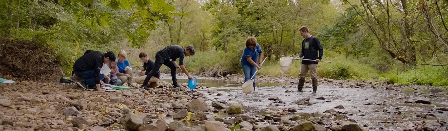 students and professors working at a stream