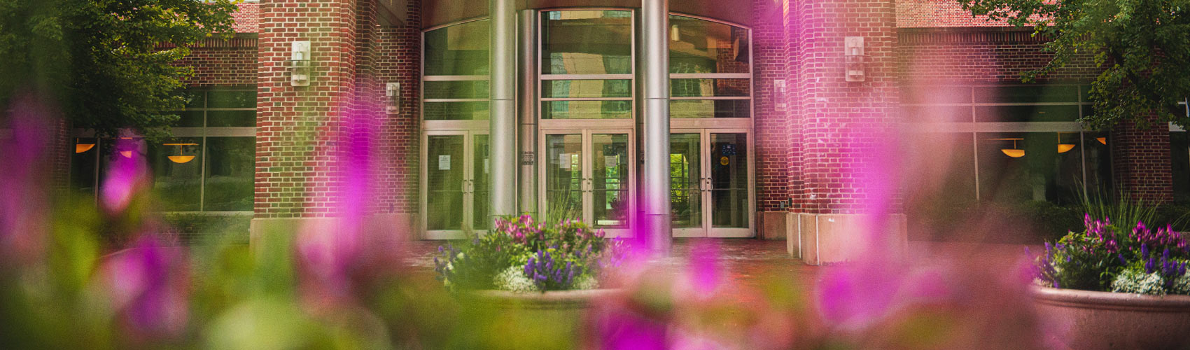 campus beauty shot of flowers in front of the Hub-Robeson building